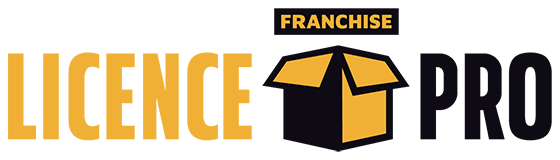 LicencePro Franchise logo website